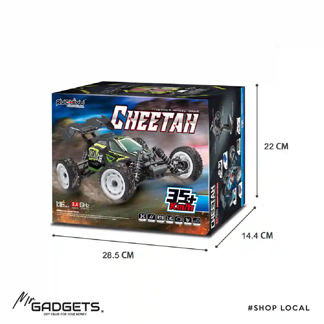 RC CHEETAH BUGGY - Image 4