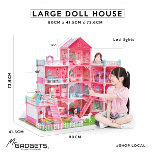 Large Doll House