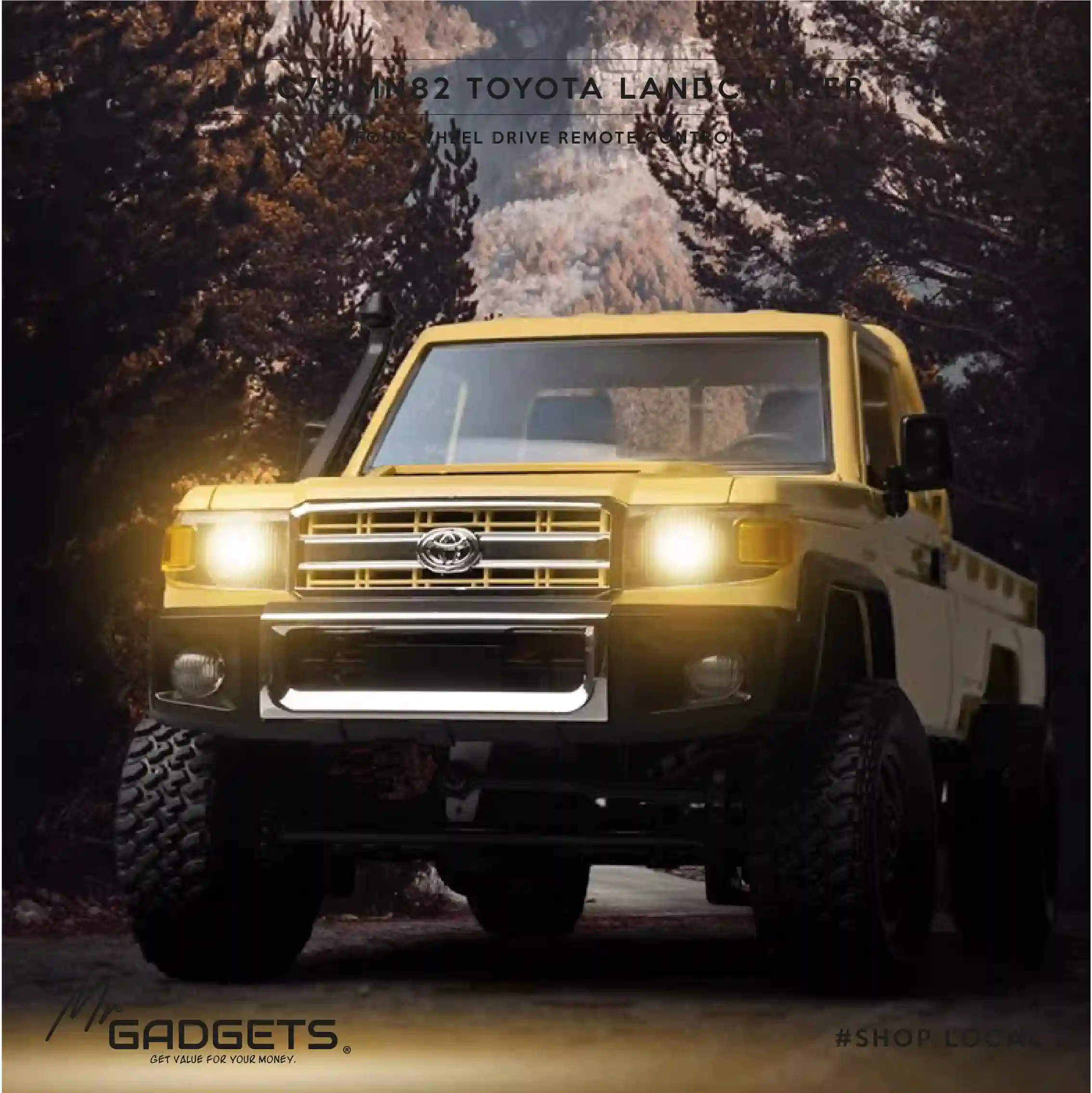 LC79 Toyota Landcruiser MN82 - Image 10